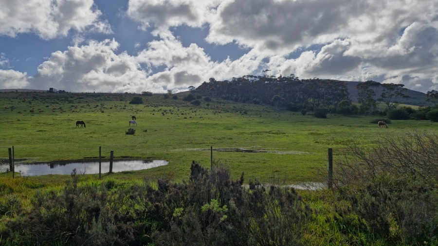 Commercial Property for Sale in Baardskeerdersbos Western Cape